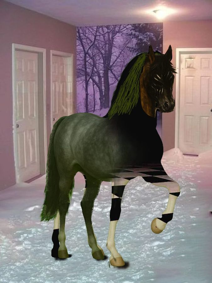 Horses?2